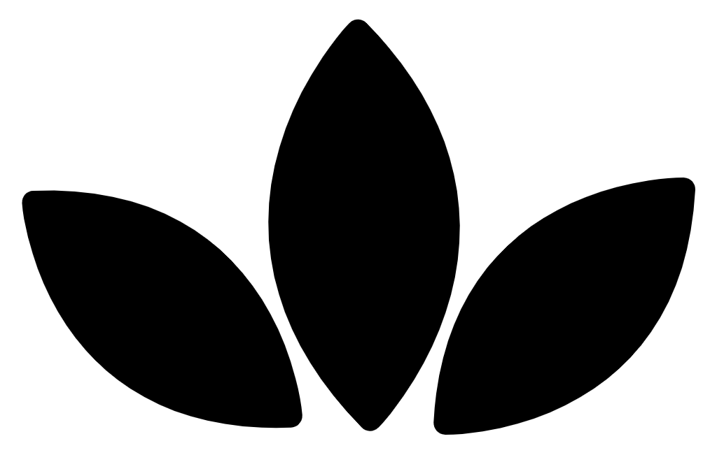 icon black