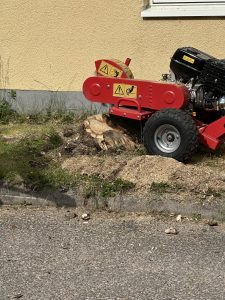 img 3697